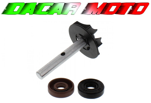 Kit revisione pompa acqua bmw - kit,